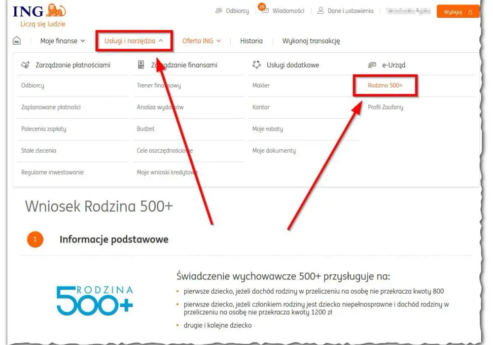 800 plus 2025: Gdzie i jak złożyć wniosek online? Pełny przewodnik