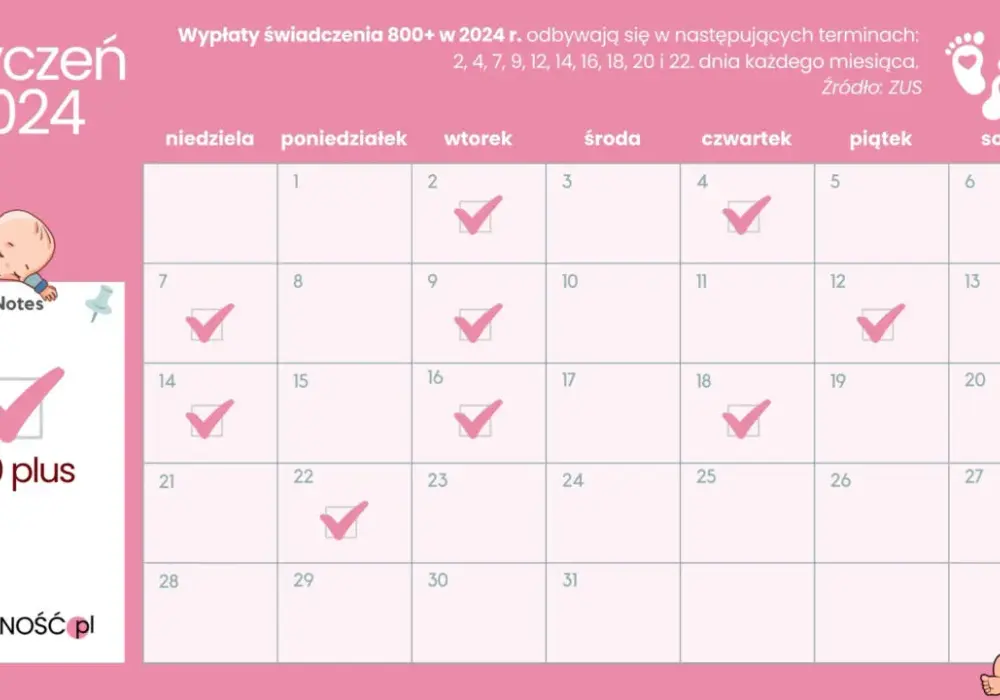 800 plus kiedy wypłata? Sprawdź daty i harmonogram ZUS!