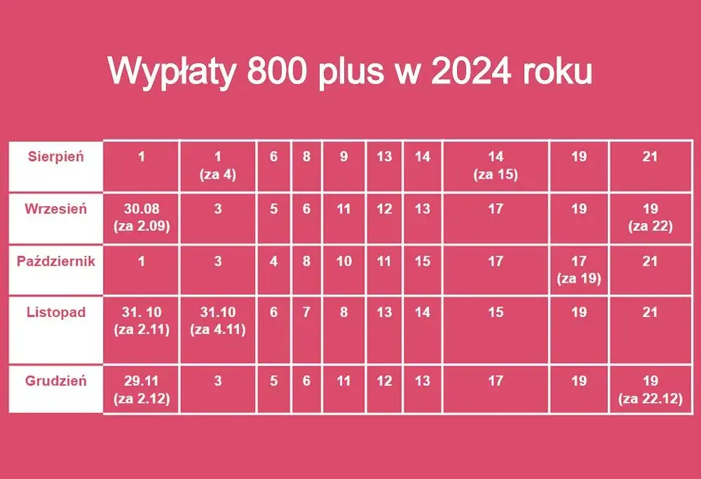 800 plus na dziecko: Wniosek 2025/2026. Jak złożyć i nie stracić?