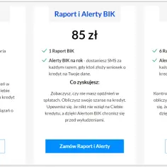 Czy raport BIK jest płatny? Odkryj darmowe opcje i koszty