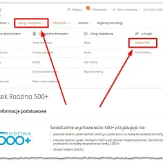 800 plus 2025: Gdzie i jak złożyć wniosek online? Pełny przewodnik
