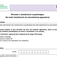 ZUS 800 plus: Złóż wniosek online i odbierz pieniądze bez problemu