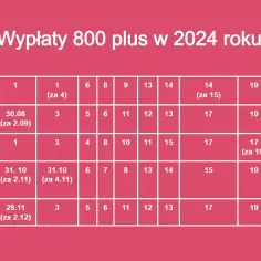 800 plus na dziecko: Wniosek 2025/2026. Jak złożyć i nie stracić?