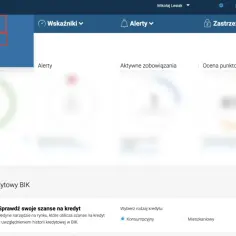 Ile się czeka na raport BIK? Poznaj czas oczekiwania na dokumenty