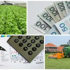 Ile można zarobić żeby nie wypaść z KRUS? Limity dochodów dla rolników