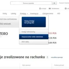 Debet w PKO: Jak działa i uchronić się przed wysokimi kosztami?