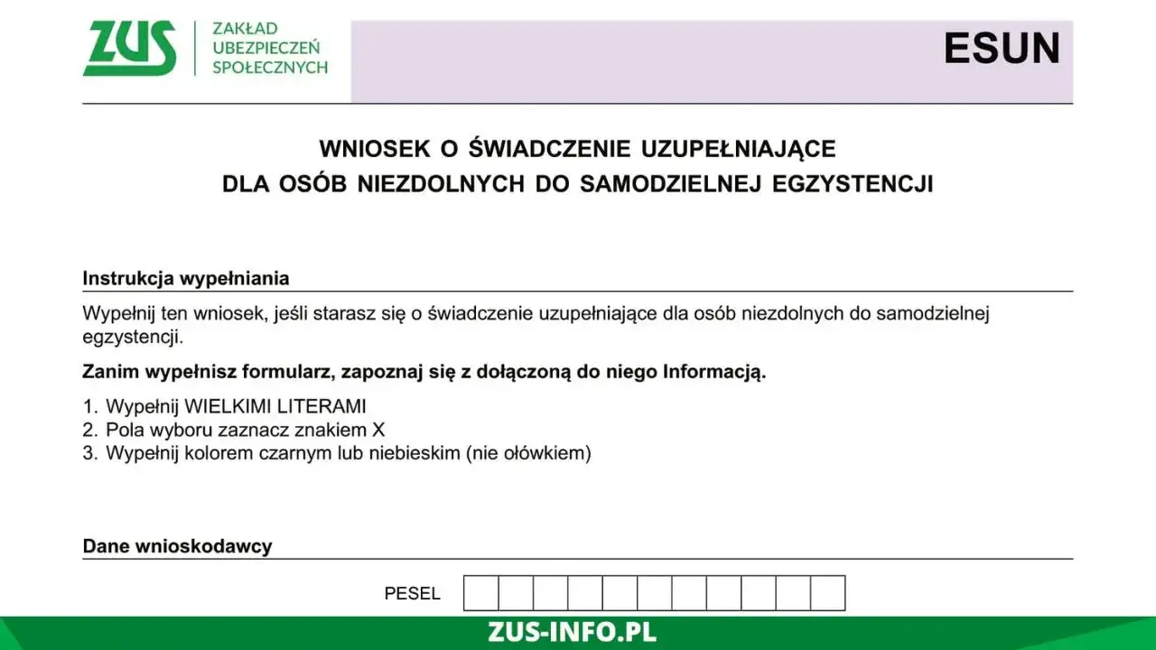 Wypełnianie formularza ZUS ESUN