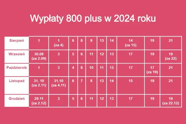 800 plus na dziecko: Wniosek 2025/2026. Jak złożyć i nie stracić?